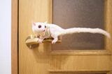 （写真：ひろさん提供）