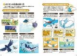 ポケモンの姿・生活・移動能力など、共通項ごとに特徴がまとめられている（画像：小学館公式サイトより）