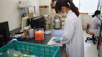 放射能は300年消えず､｢食品汚染の今｣ 原発事故から4年､あの問題はどうなった？