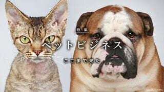 ペットビジネス ここまで来た