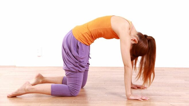 疲労回復のカギは「背骨」と「第2の心臓」にあった