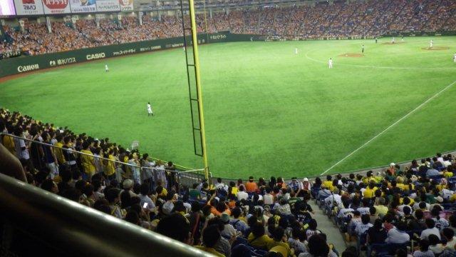 3塁側立ち見席からの景観