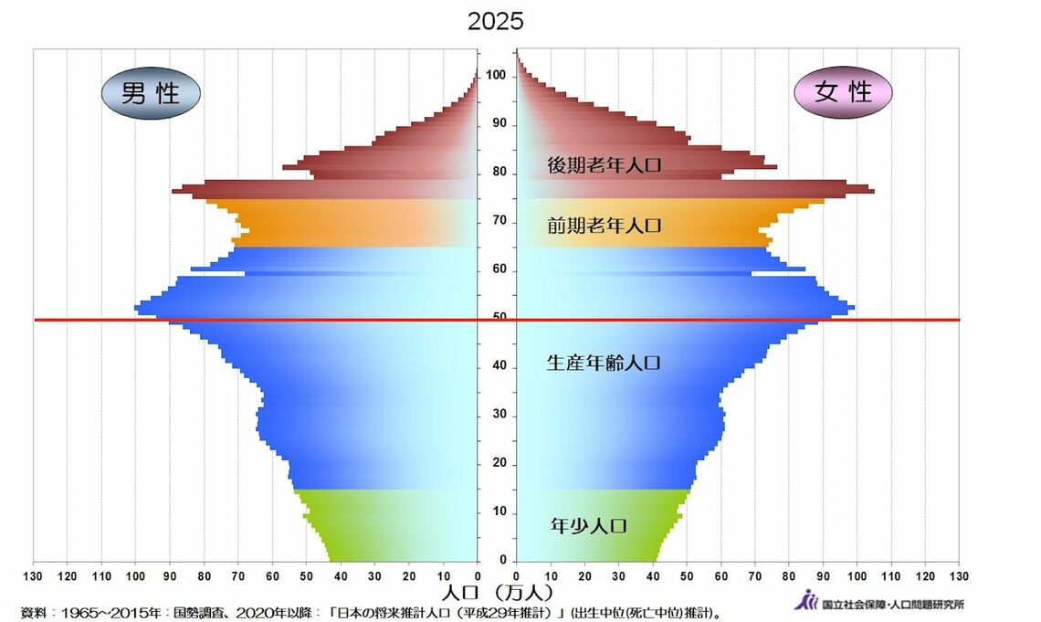 2025年の人口ピラミッド