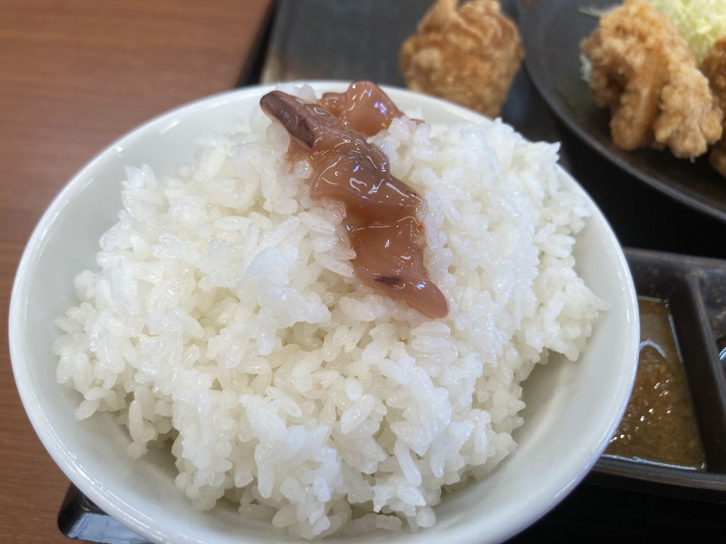 ご飯にちょこんと載せます