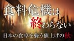 食料危機は終わらない