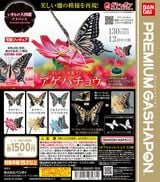 プレミアムガシャポン