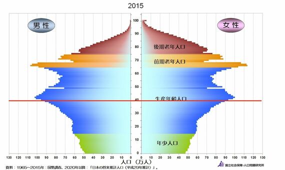 2015年の人口ピラミッド