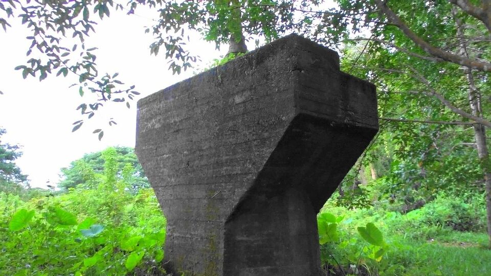 熱帯林に消えた死の鉄路､泰緬鉄道の戦後75年 ｢平和と繁栄の