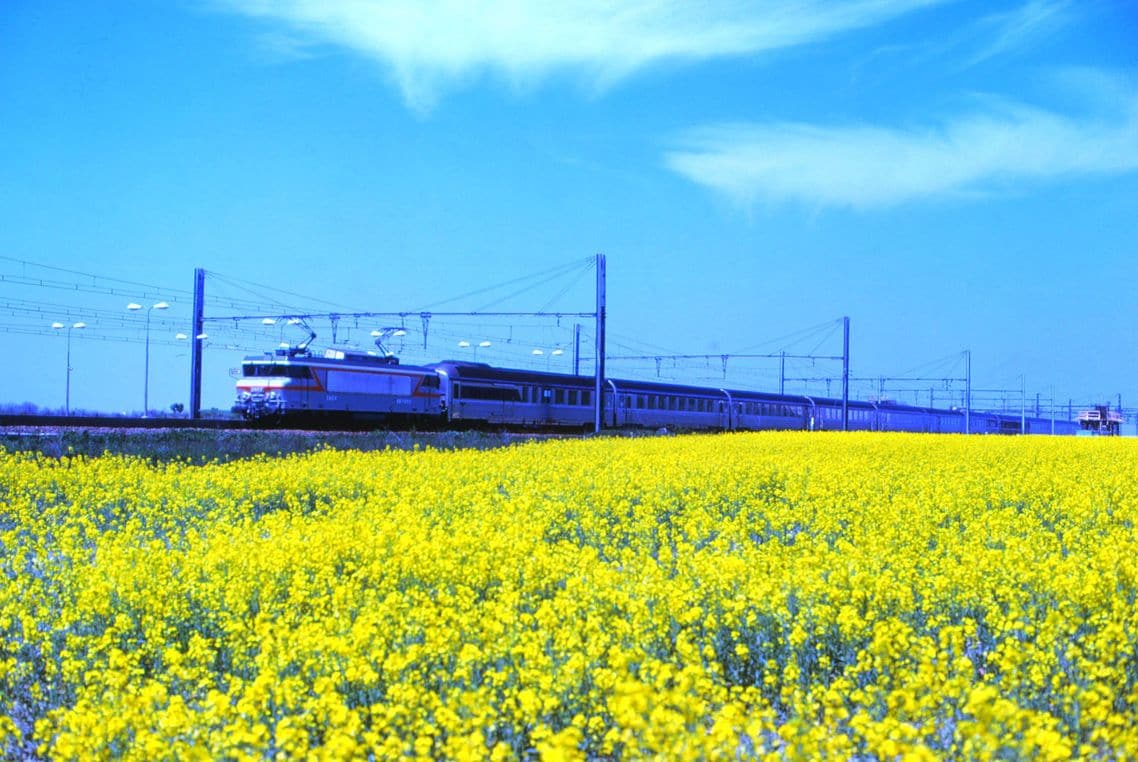 一面の花畑を快走するフランスの看板列車