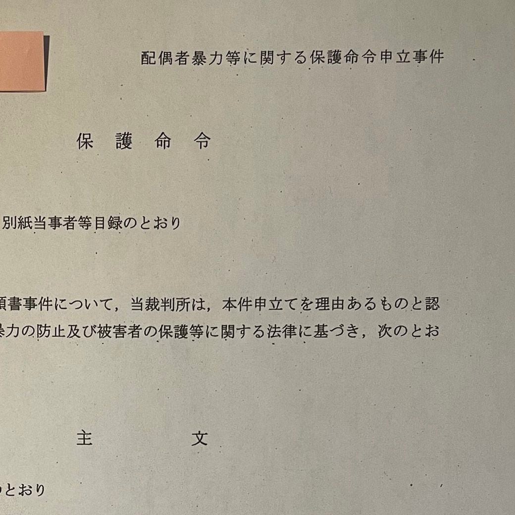 保護命令謄本の一部
