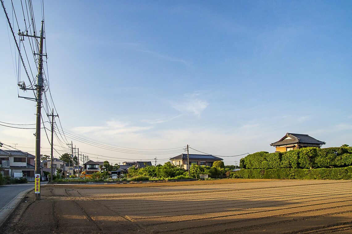 市北部の八條地区