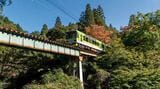 「えいでん」こと叡山電鉄は京都市街から八瀬や鞍馬へと走る紅葉を眺望する「きらら」は第1編成が新緑の色をまとい「青もみじきらら」となった (市原ー二ノ瀬間、写真：田中秀樹）