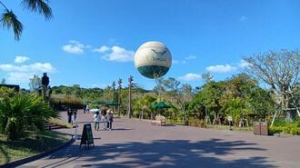 確率30％以下｢ジャングリアの気球｣乗った感想