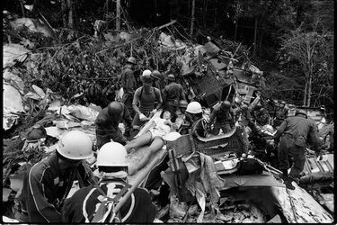 日航機墜落現場を写した私が伝え続けたい記憶 37年前の御巣鷹山を取材したカメラマンの写真 | 災害・事件・裁判 | 東洋経済オンライン