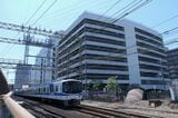 長尾街道は地下道で高野線をくぐる（記者撮影）