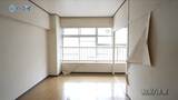 ゴミ屋敷