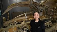 クジラやイルカ年300体が日本の海辺に漂着している 国立科学博物館 動物研究部研究主幹 田島木綿子氏に聞く