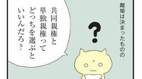 ｢共同親権｣と｢単独親権｣どっちを選ぶ？　DV被害者が離婚調停で"理不尽な合意"に追い込まれる現実　別れても支配が続く例も…