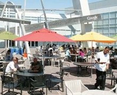 Google Campus: The Engineer's Paradise 