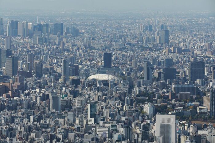 スカイツリーから見た東京ドーム