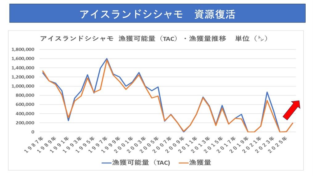 （出所）MRFIのデータを基に筆者作成