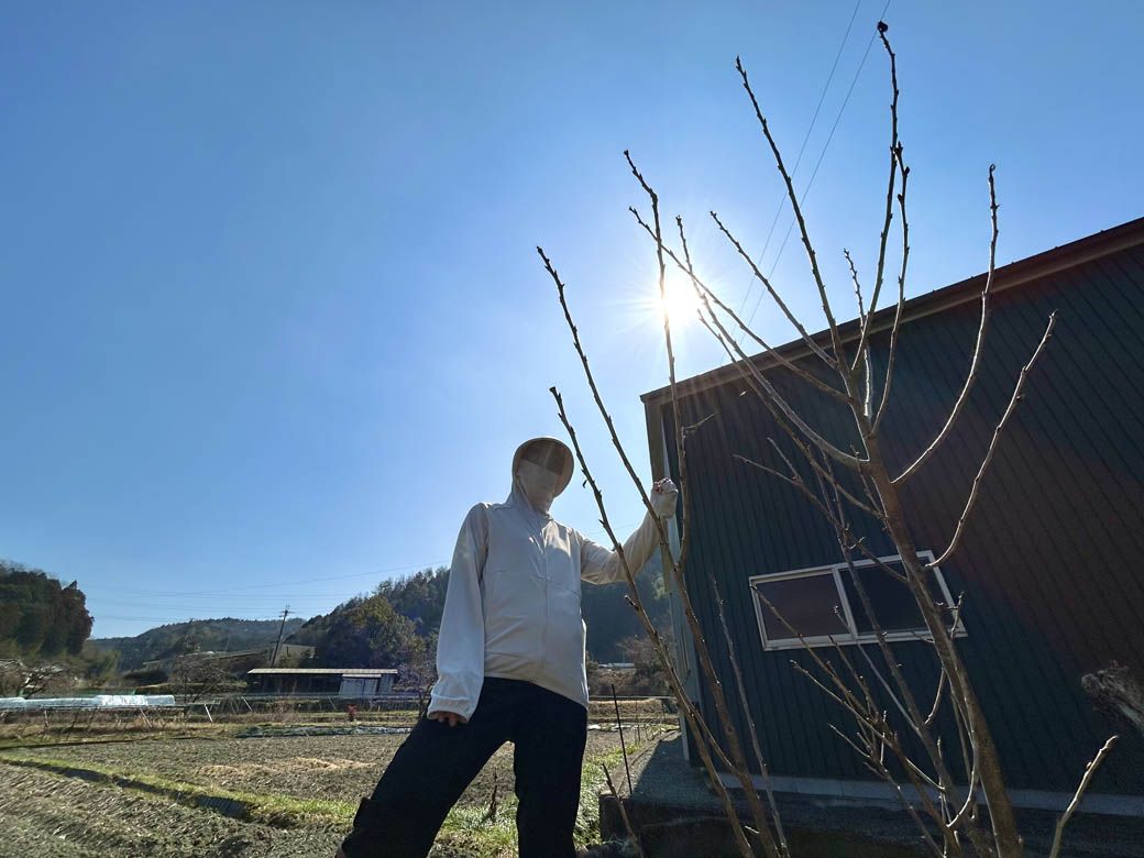 雲ひとつない快晴