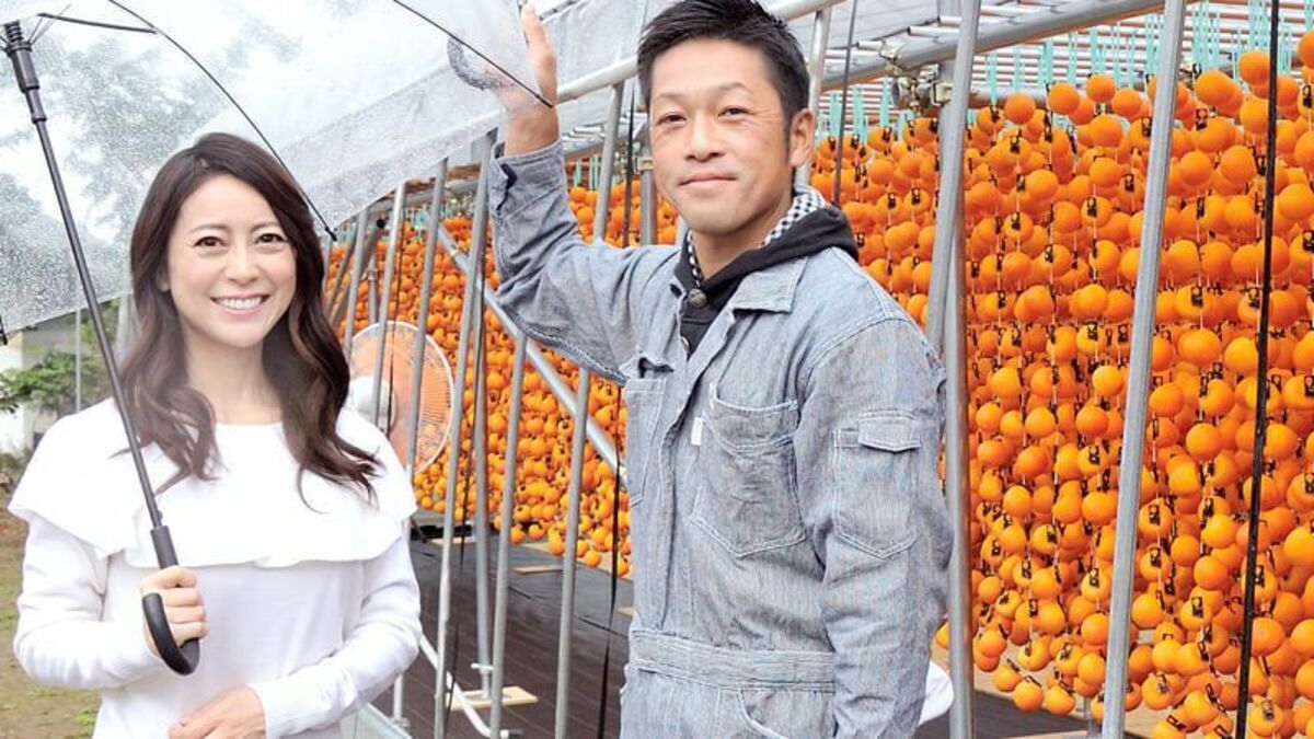 日本のドライフルーツ！市田柿を世界へ JAみなみ信州 | JAグループ