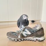 （写真提供：カマタさん）