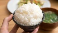 ｢炭水化物｣は人類の敵なのか､味方なのか ｢糖質制限ダイエット｣巡り激突する2冊の本