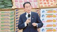 岸田政権が狙う｢黄金の3年｣に潜む危うさ たとえ参院選勝利でも無策続けば泥沼化も