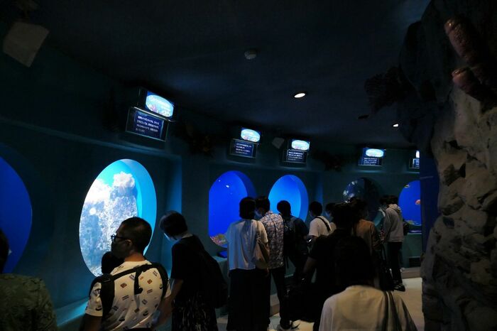 魚の国「海の遊歩道」