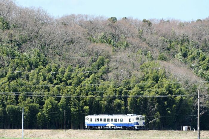 沿線は自然の景色が広がるものの、峠越えなどはない