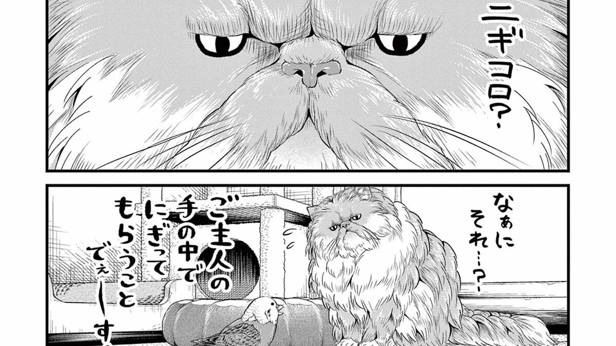 猫が"ご主人"との｢スキンシップ｣を試みた結果 | ニャーゴとピュロロロ | 東洋経済オンライン