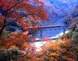 紅葉の美しい只見線第三只見川橋梁を渡る列車（撮影：南正時）