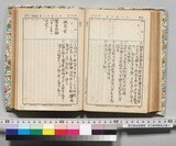 昭和5年11月10日と11日のページ（国立国会図書館デジタルコレクションより、手記画像は以下同）