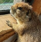 （写真：まる子さん提供）