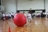 大玉ころがしで競争！（筆者撮影）