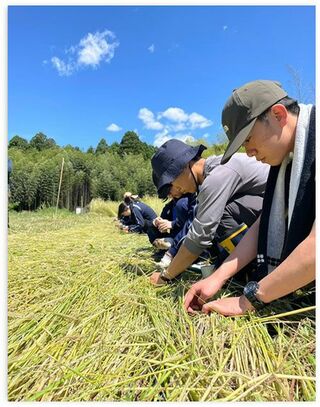 RO農法にも取り組む