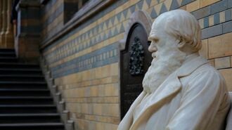 実は悪食…ダーウィンの｢因果応報｣な"死の原因"