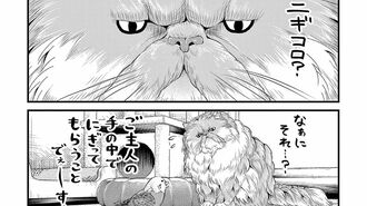 猫が"ご主人"との｢スキンシップ｣を試みた結果