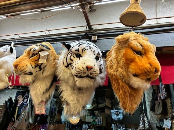 トラやヒョウの顔のリュック