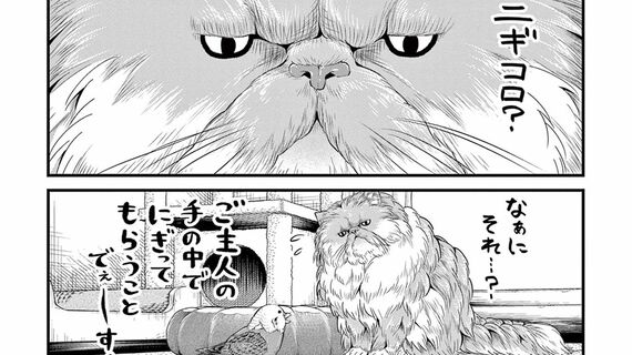 ニャーゴとピュロロロ