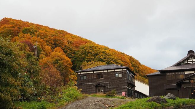 50代姉妹が驚愕､青森･酸ヶ湯"混浴風呂"のリアル