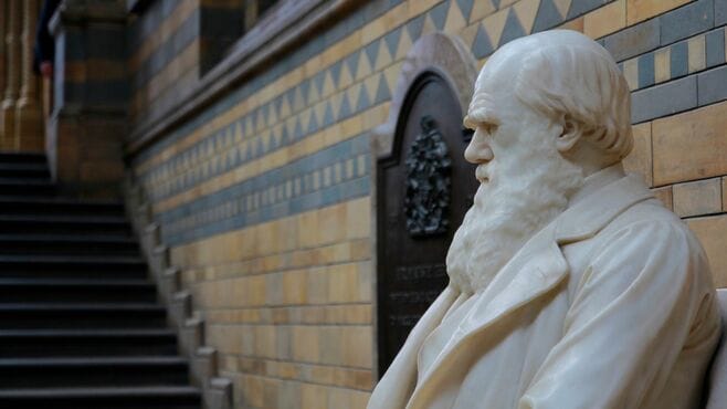 実は悪食…ダーウィンの｢因果応報｣な"死の原因"