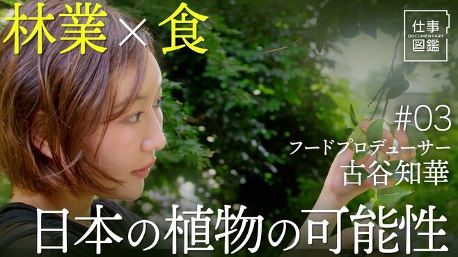 【東大卒の起業家が「食」で挑む林業再生】…