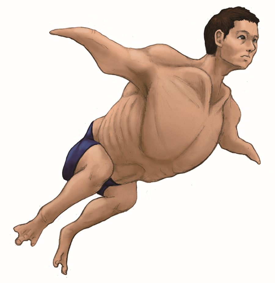 ウサギの耳はなぜ長い 動物人間で見るその凄さ 読書 東洋経済オンライン 社会をよくする経済ニュース