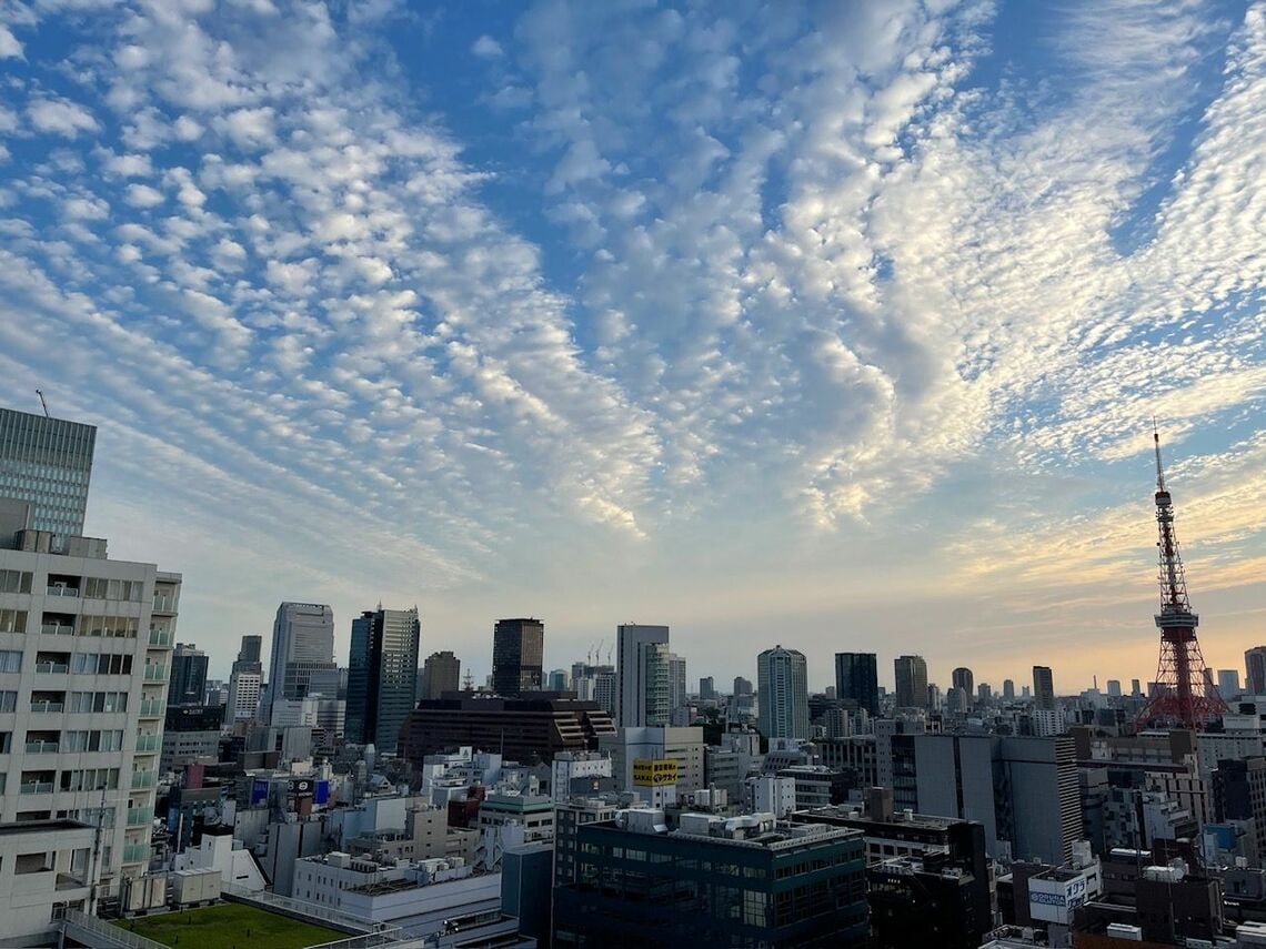 港区タワマン