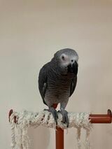 （写真提供：カマタさん）