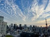 港区タワマン