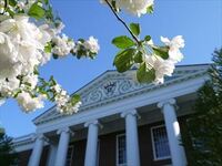 人生で大切なのはカネと名声ですか？ ハーバード教授陣が語る「かけがえのない人生」